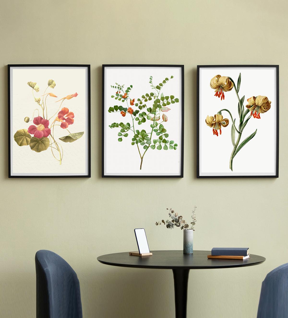 Set of three vintage botanical art prints featuring detailed floral illustrations in soft, earthy tones, perfect for adding a classic touch to home decor.